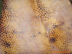 绍兴县金舵纺织品有限公司 针织面料产品全览